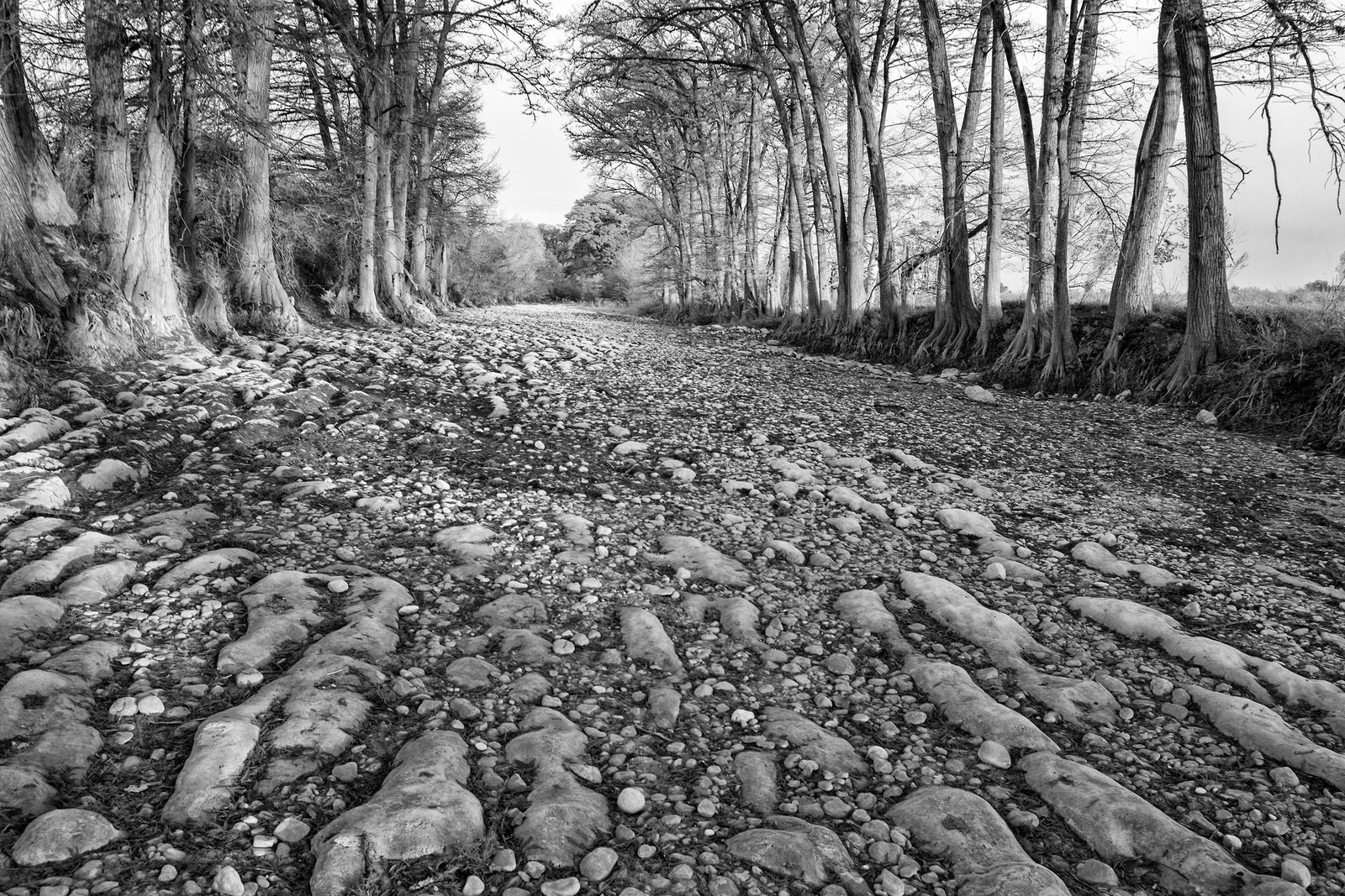 MedinaRiverDrought_IMG_1035-m1_M_6x4_20230426.jpg