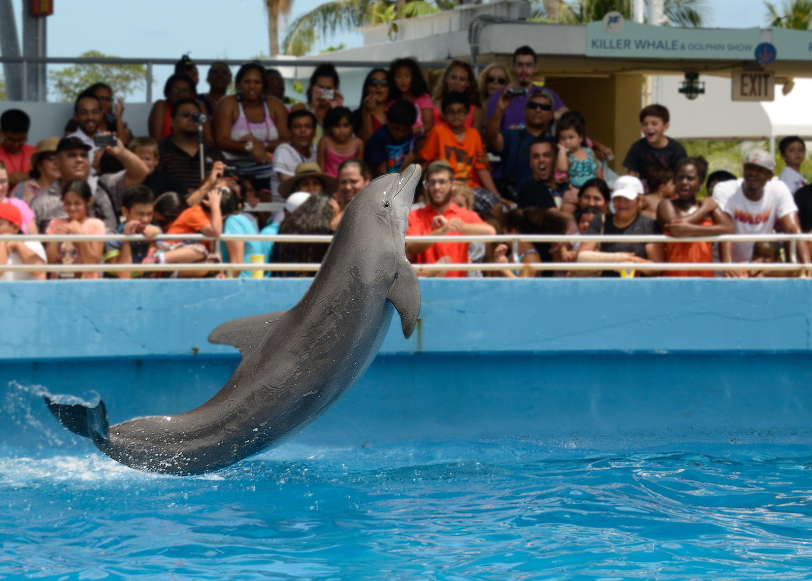 Miami Seaquarium 140713-20.jpg