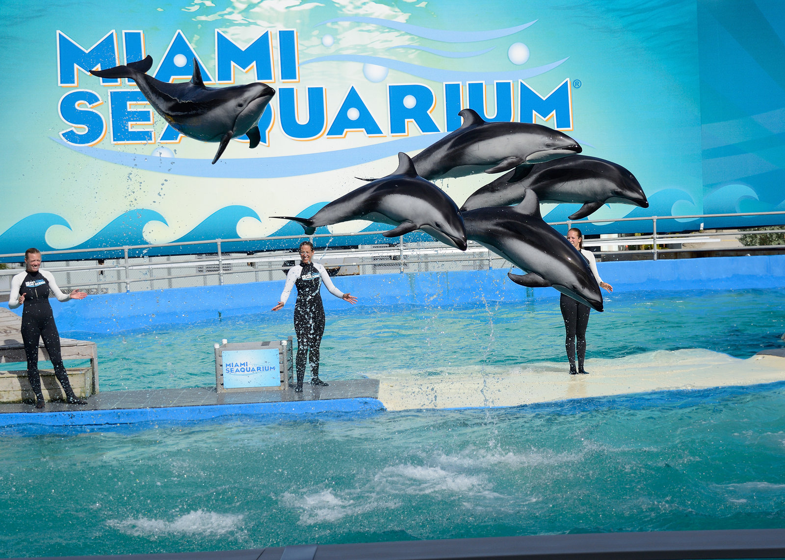 Miami Seaquarium 140713-47.jpg