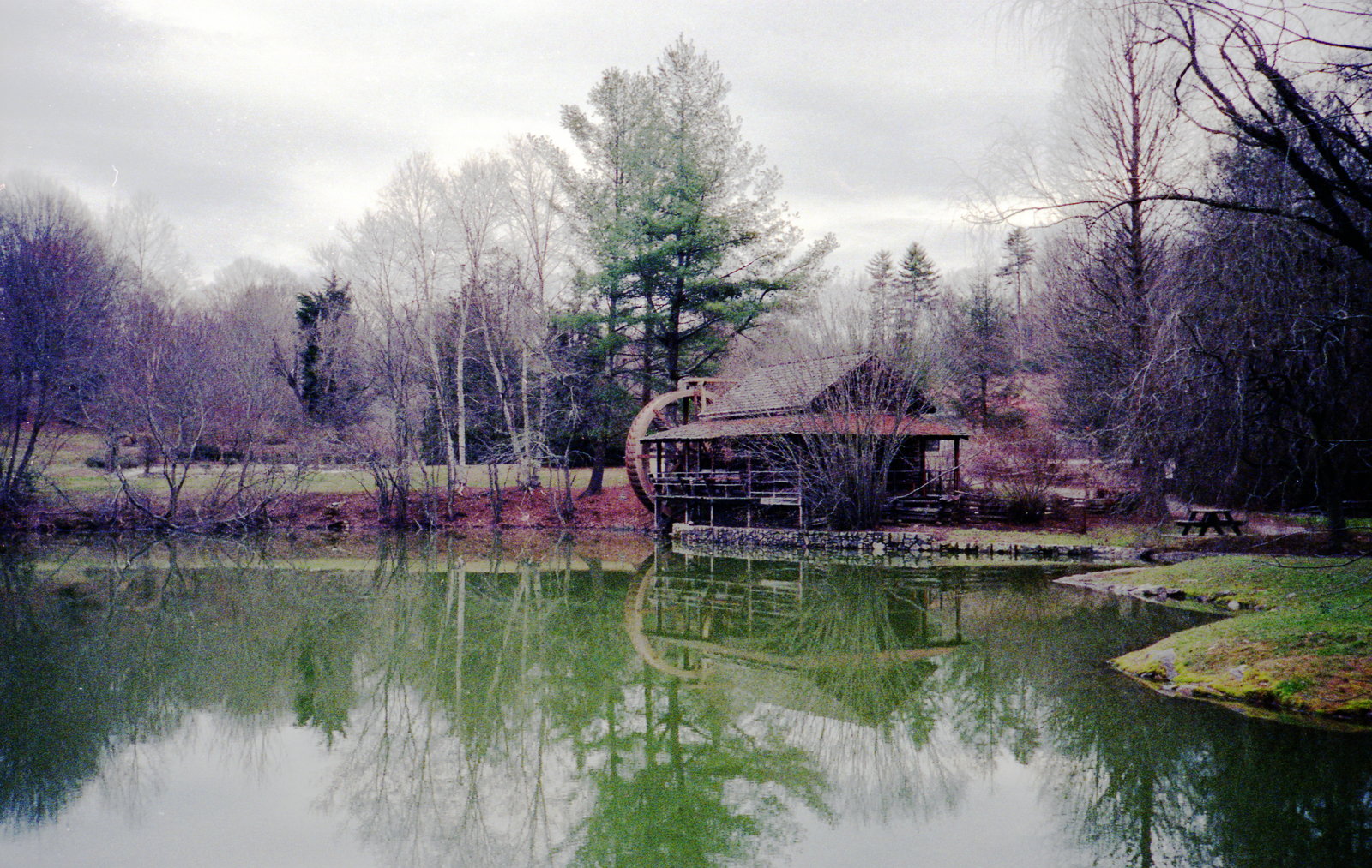 Negs_024CP.jpg