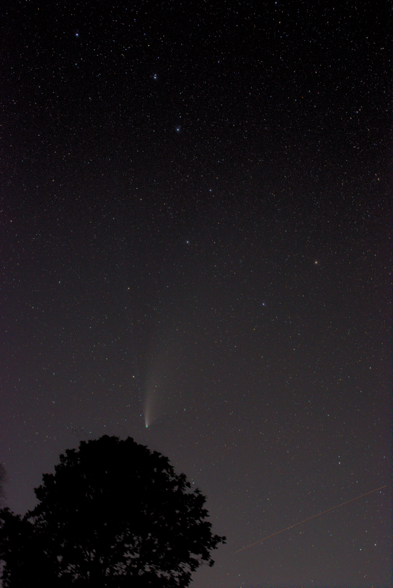 Neowise & Big Dipper_fin.jpg