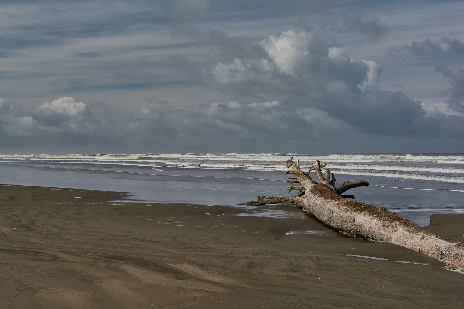 ocean-shores-2014.jpg