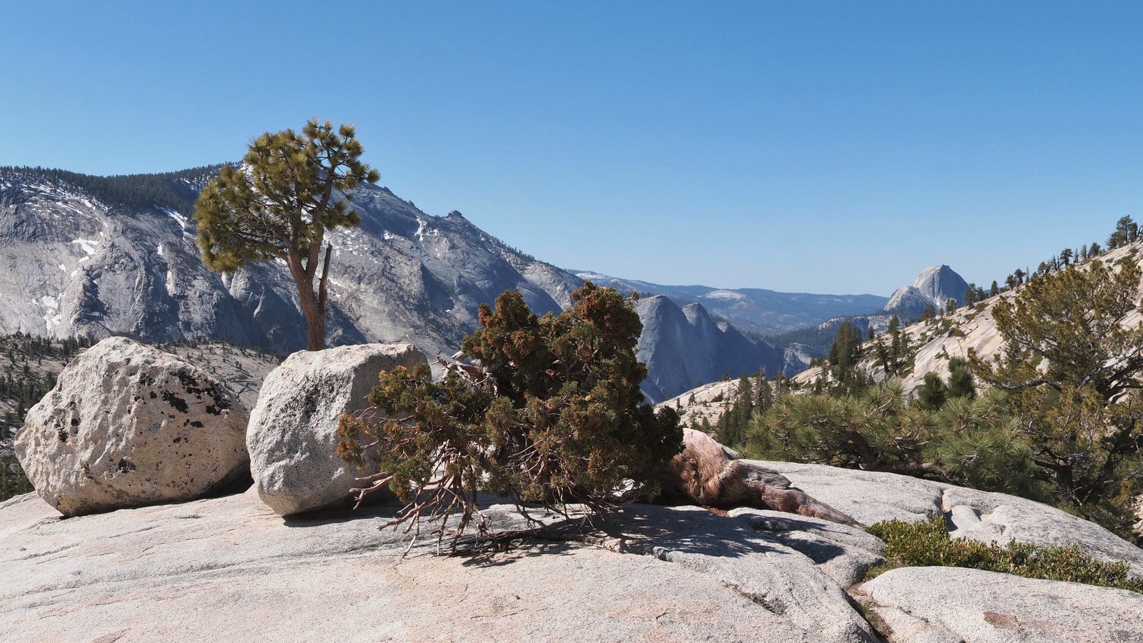 Olmsted Point.jpg
