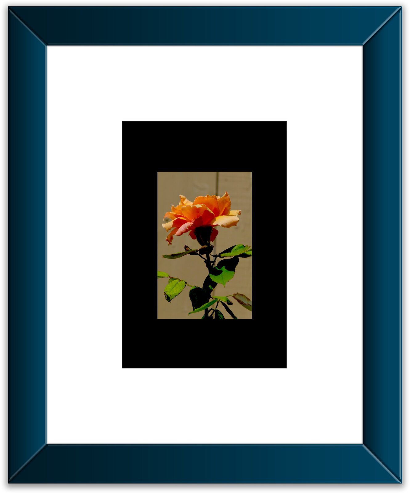 Orange:Black 5A.jpeg
