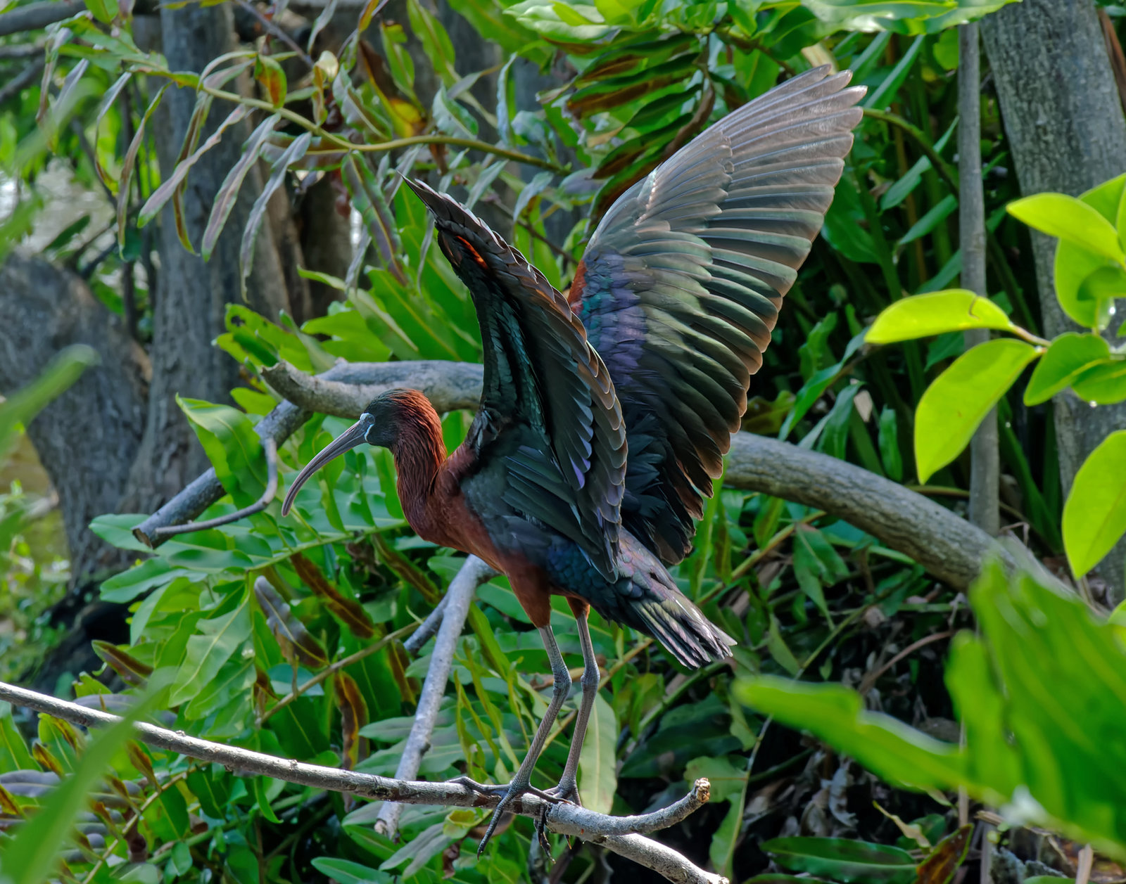 P1250420_DxO-2.jpg