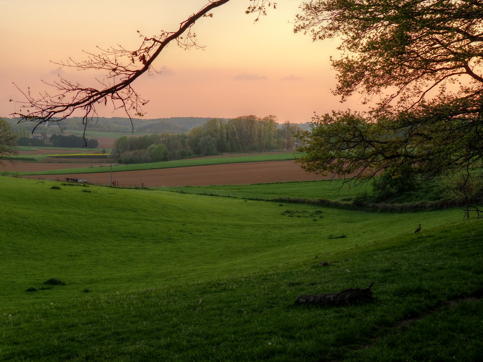 P5011118-P5011121-dprf.jpg