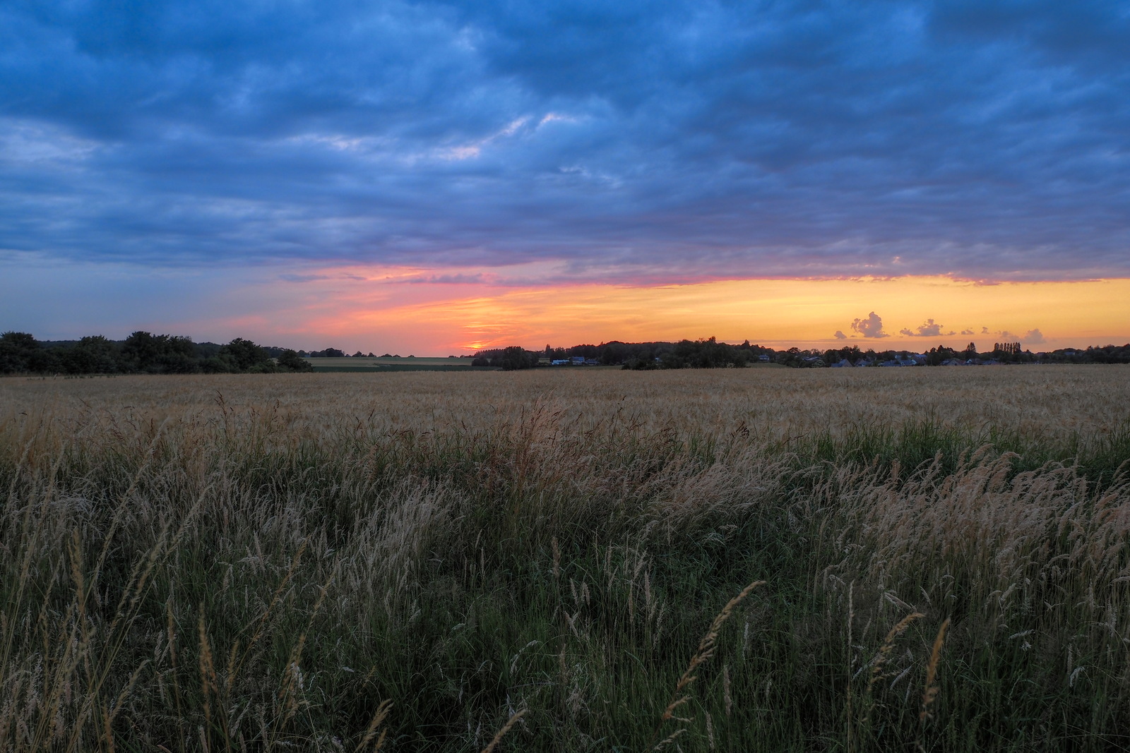 P6262130-P6262134-dprf.jpg