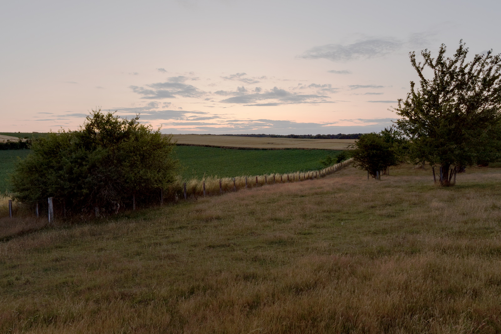 P7052195-dprf2.jpg