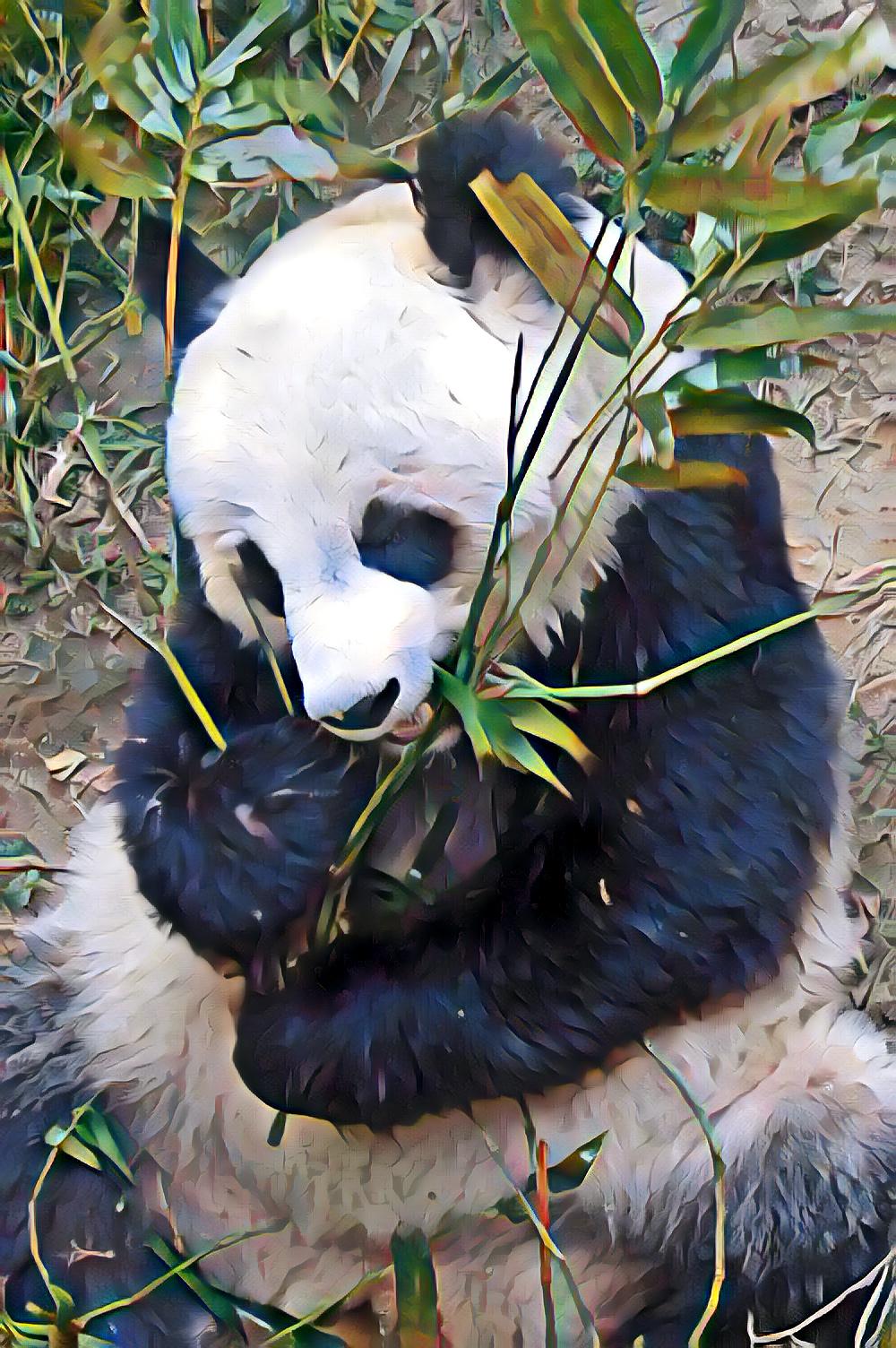 panda-1551326-639x852-udnie-2.0.jpg