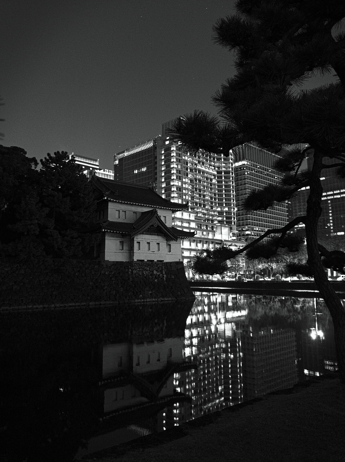 PC102630-dprf.jpg