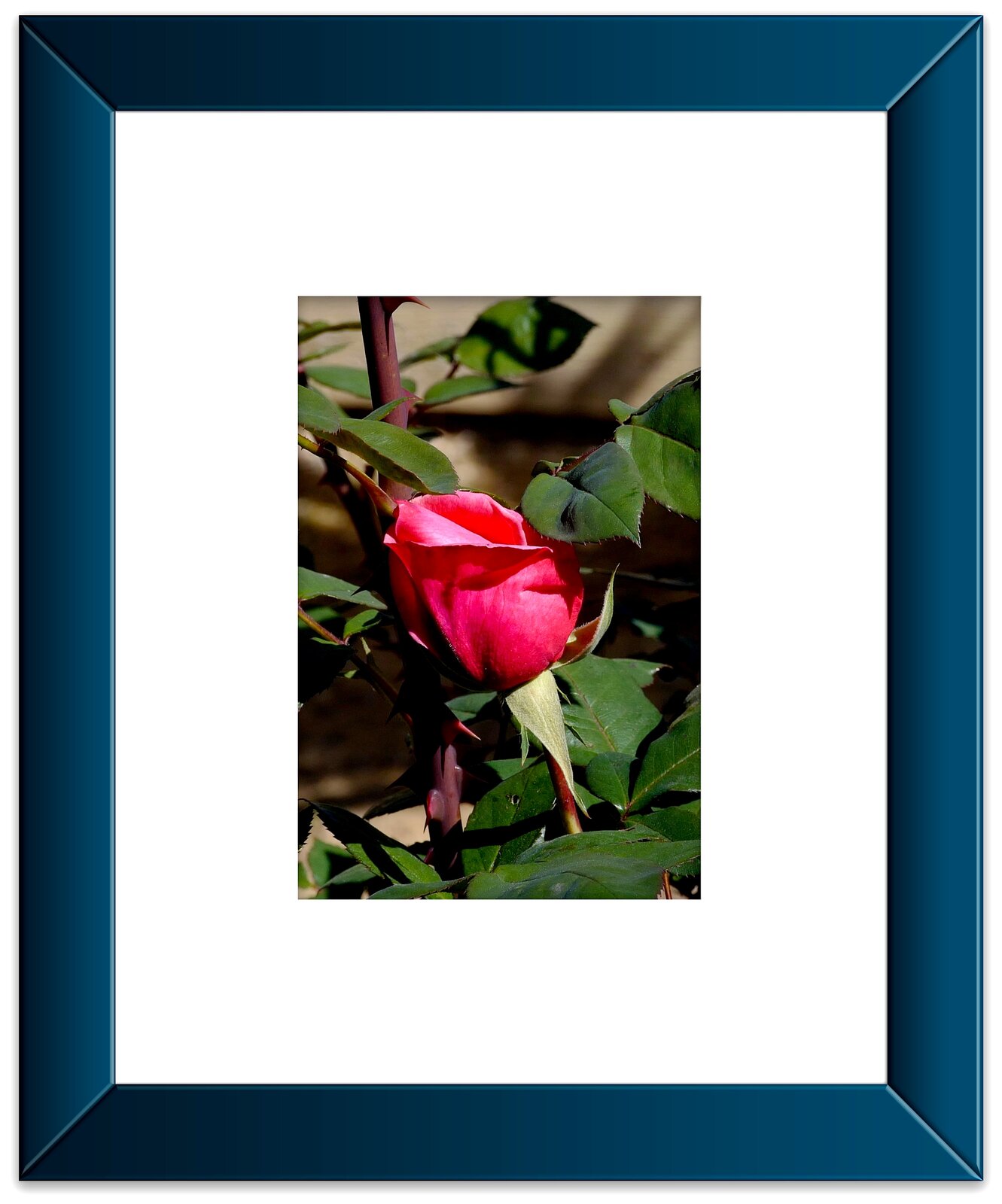 Red Rose Framed.jpeg