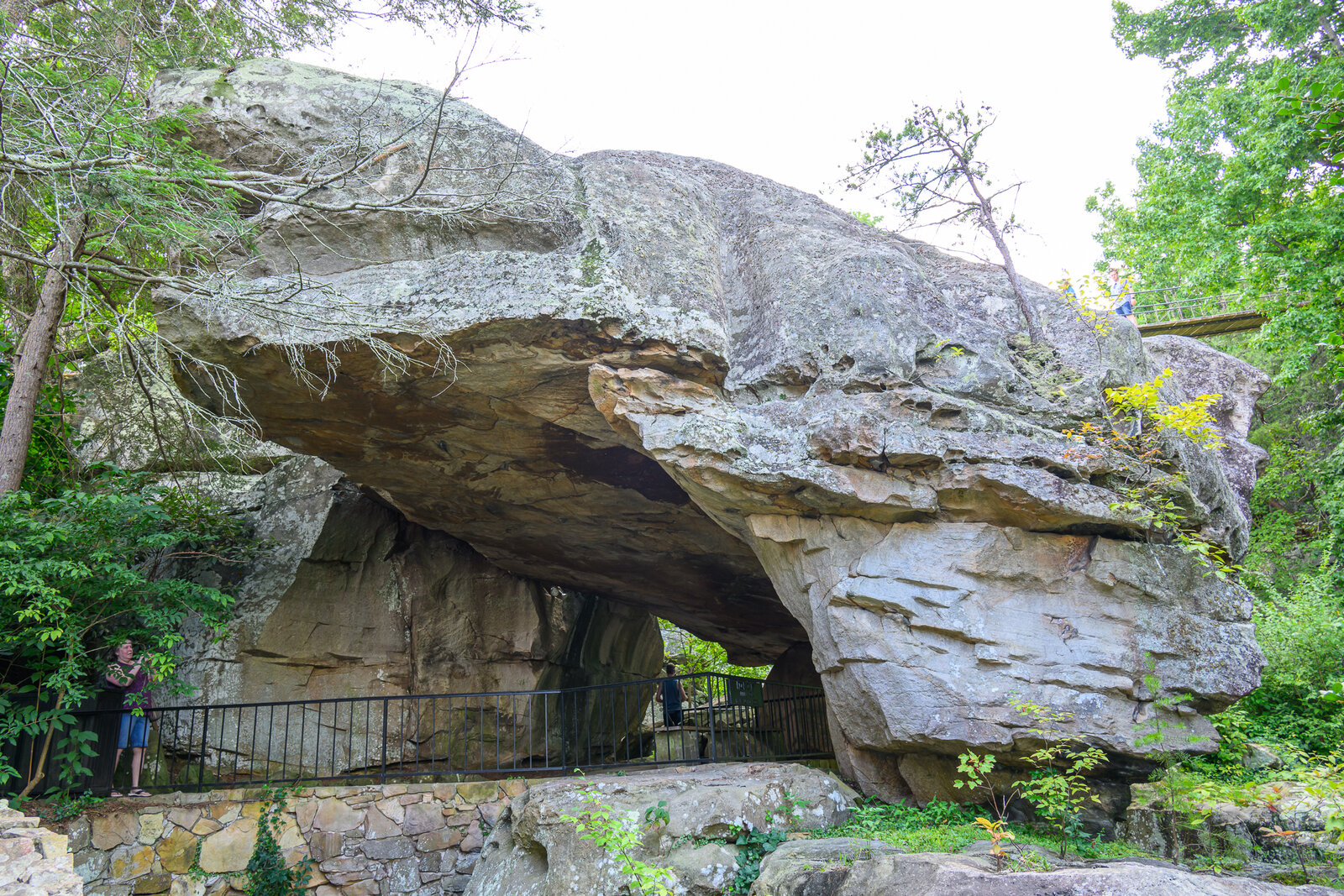 Rock City 230723 - 88.jpg
