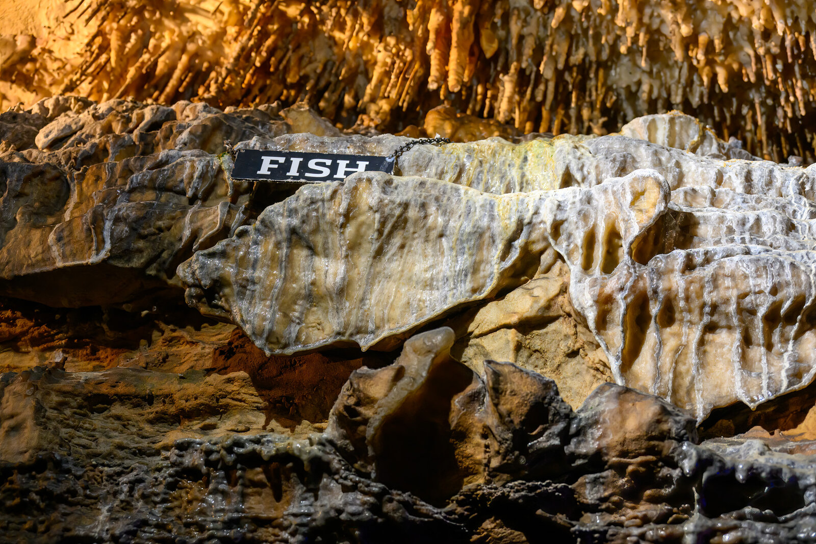 Ruby Falls 230723 - 8.jpg