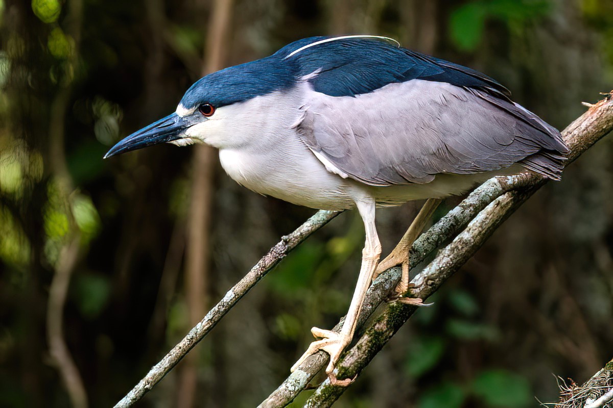 SD_DSC9135.jpg