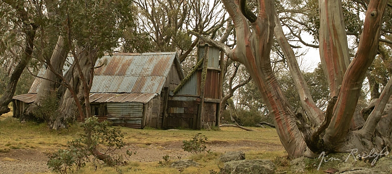 Wallace Hut 0508.jpg