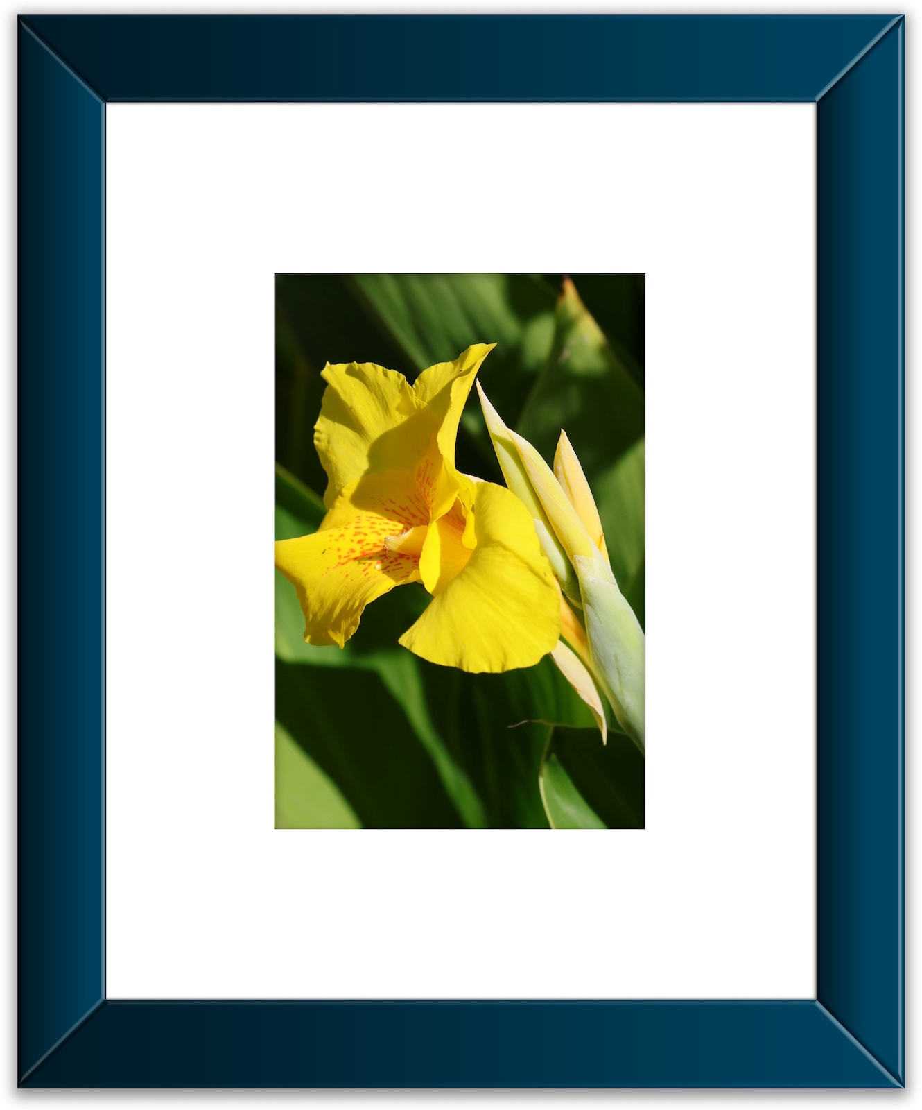 Yellow Flower Framed (4A).jpeg